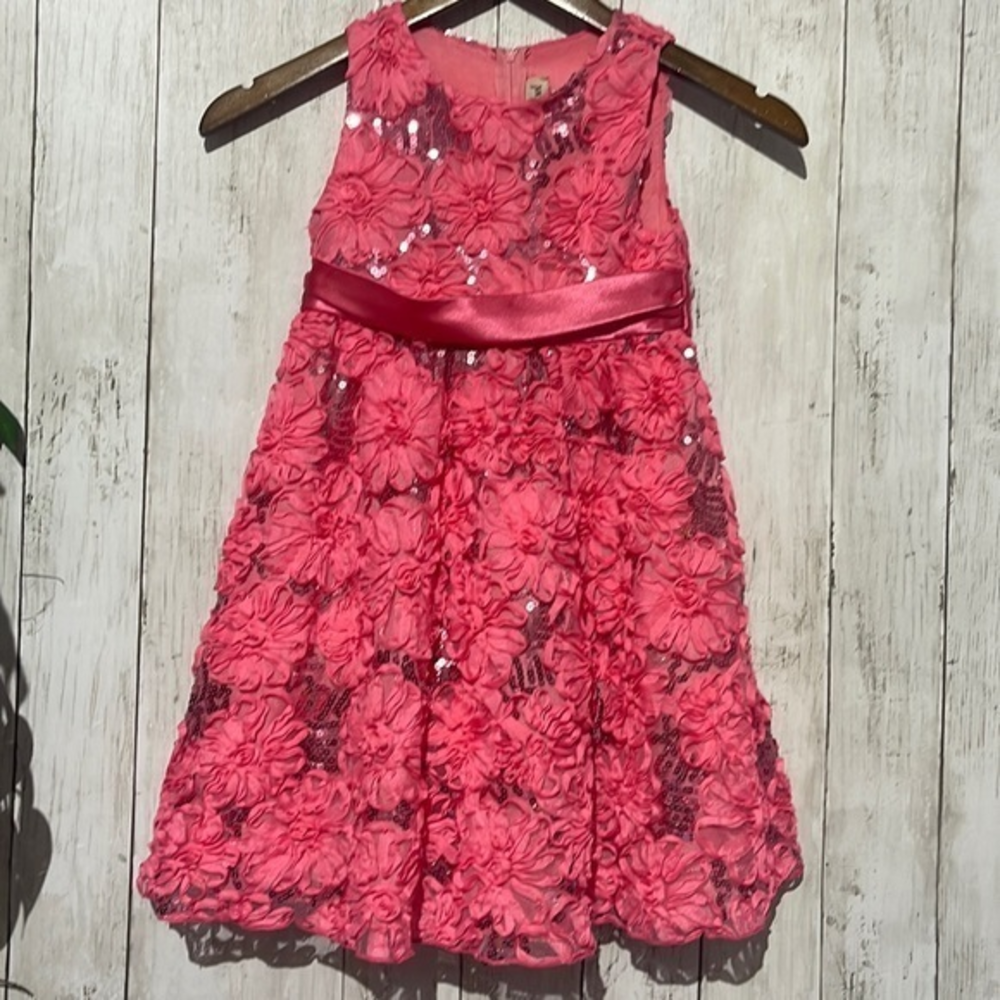 Rare Too!‎ Girls Pink Flower Sequins Party Dress Size 6